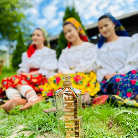 Floare De Maramures 1 Vadu Izei Eksteriør billede