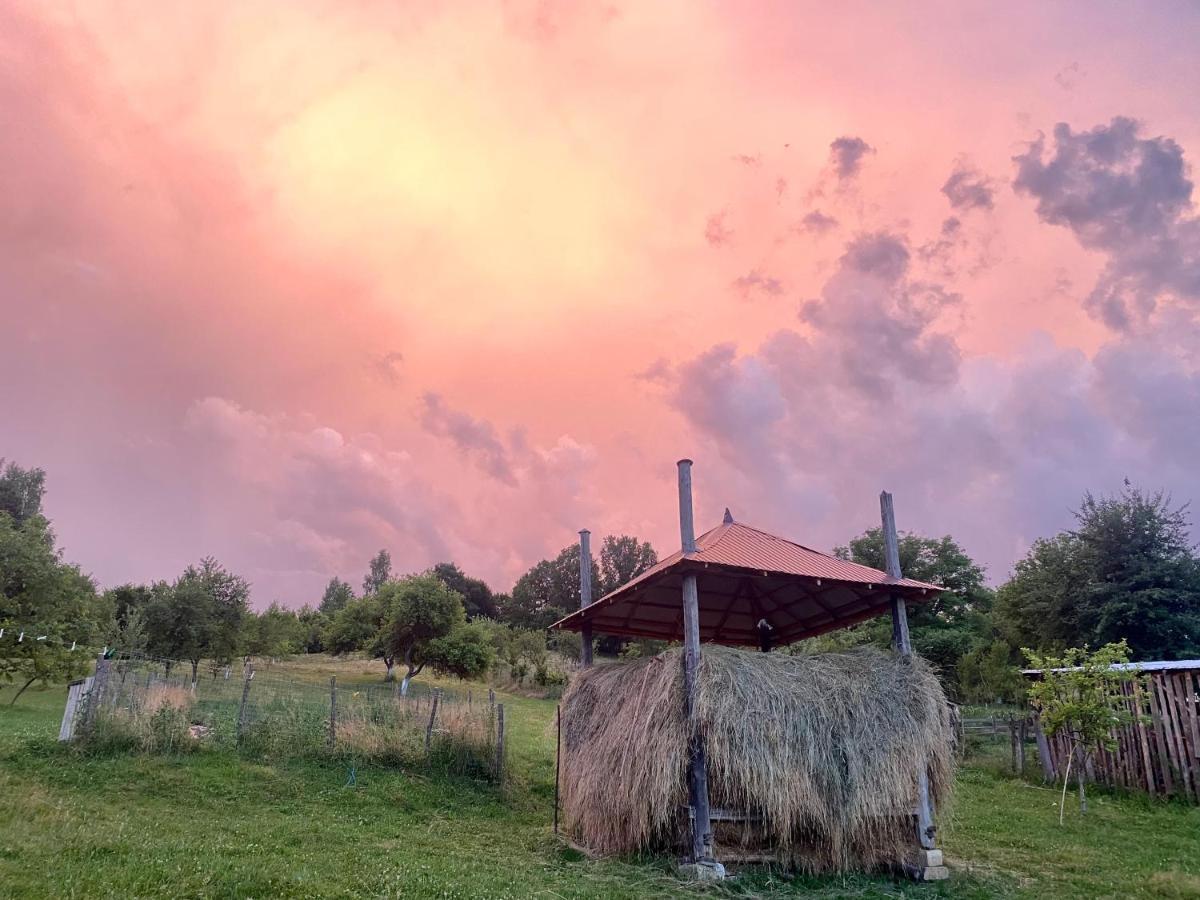 Floare De Maramures 1 Vadu Izei Eksteriør billede