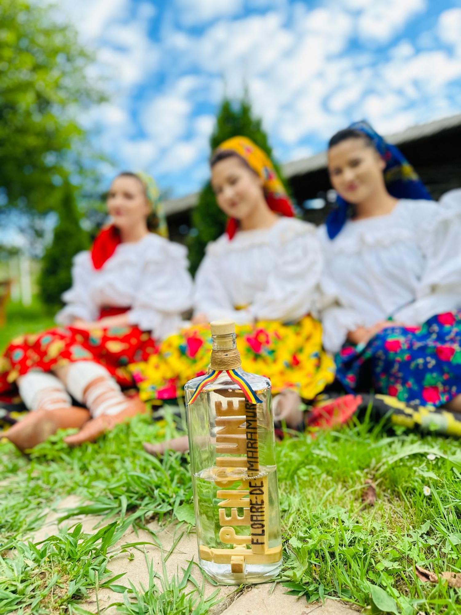 Floare De Maramures 1 Vadu Izei Eksteriør billede